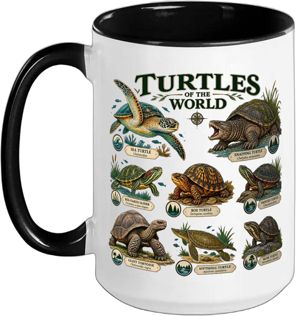 Turtles Of The World Tortoise Turtle Species Reptile Lover Ceramic Mug