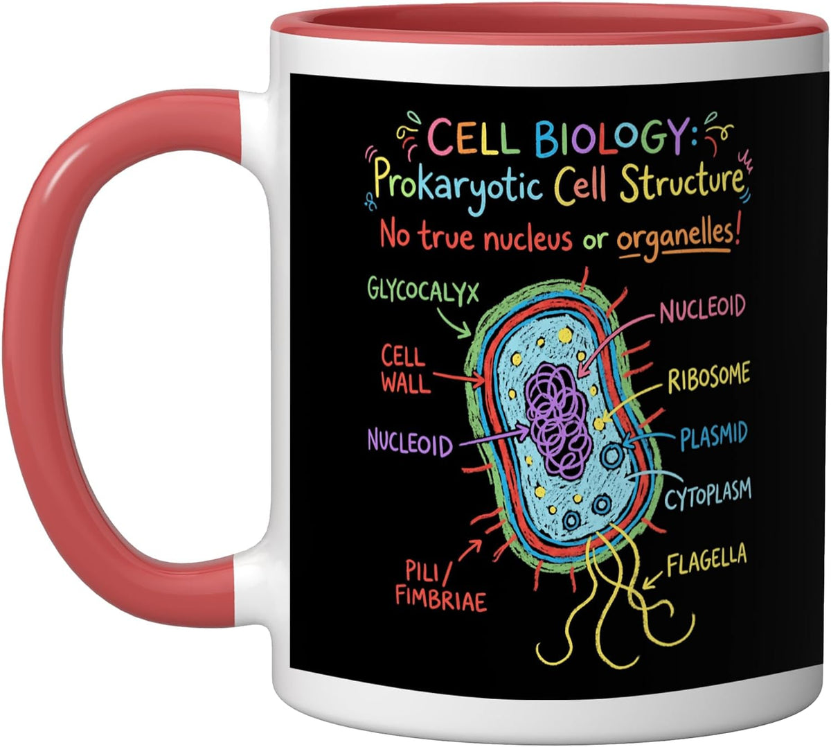 Cell Biology Prokaryotic Cell Structure Science Education Ceramic Mug
