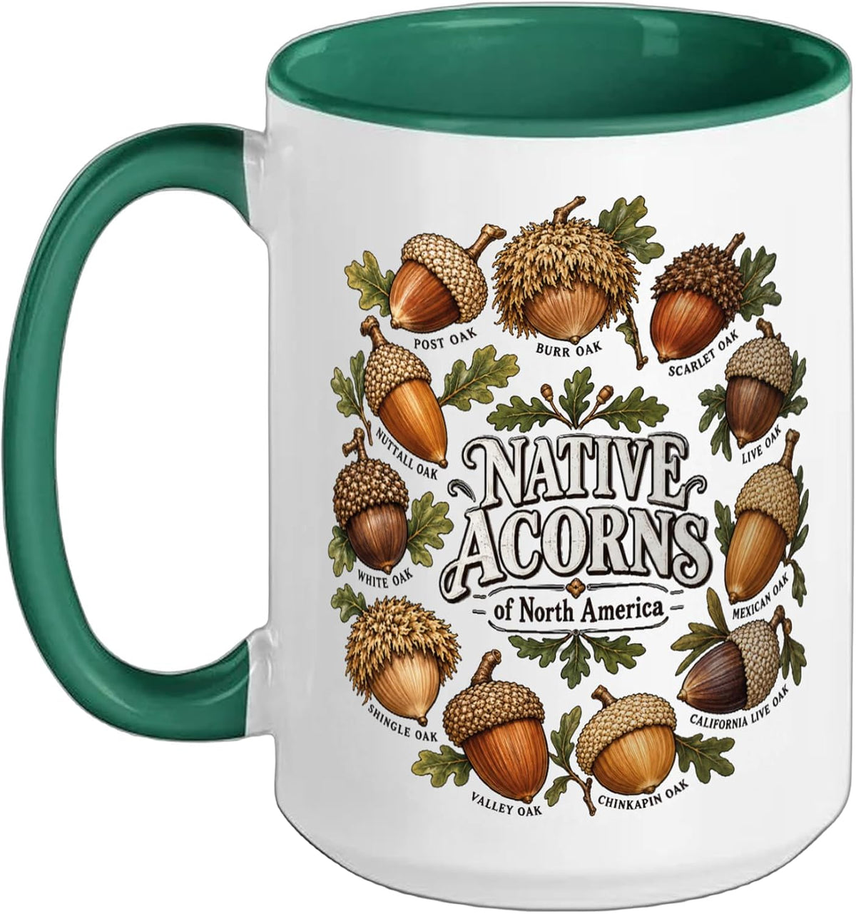 Native Acorns Of North America Oak Species Identification Ceramic Mug