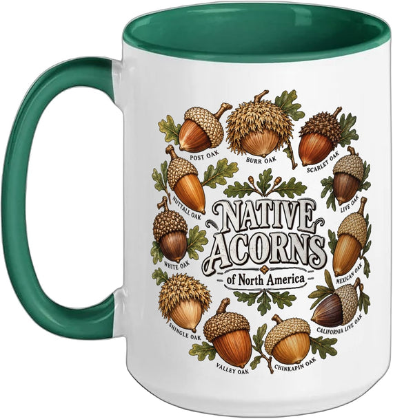 Native Acorns Of North America Oak Species Identification Ceramic Mug