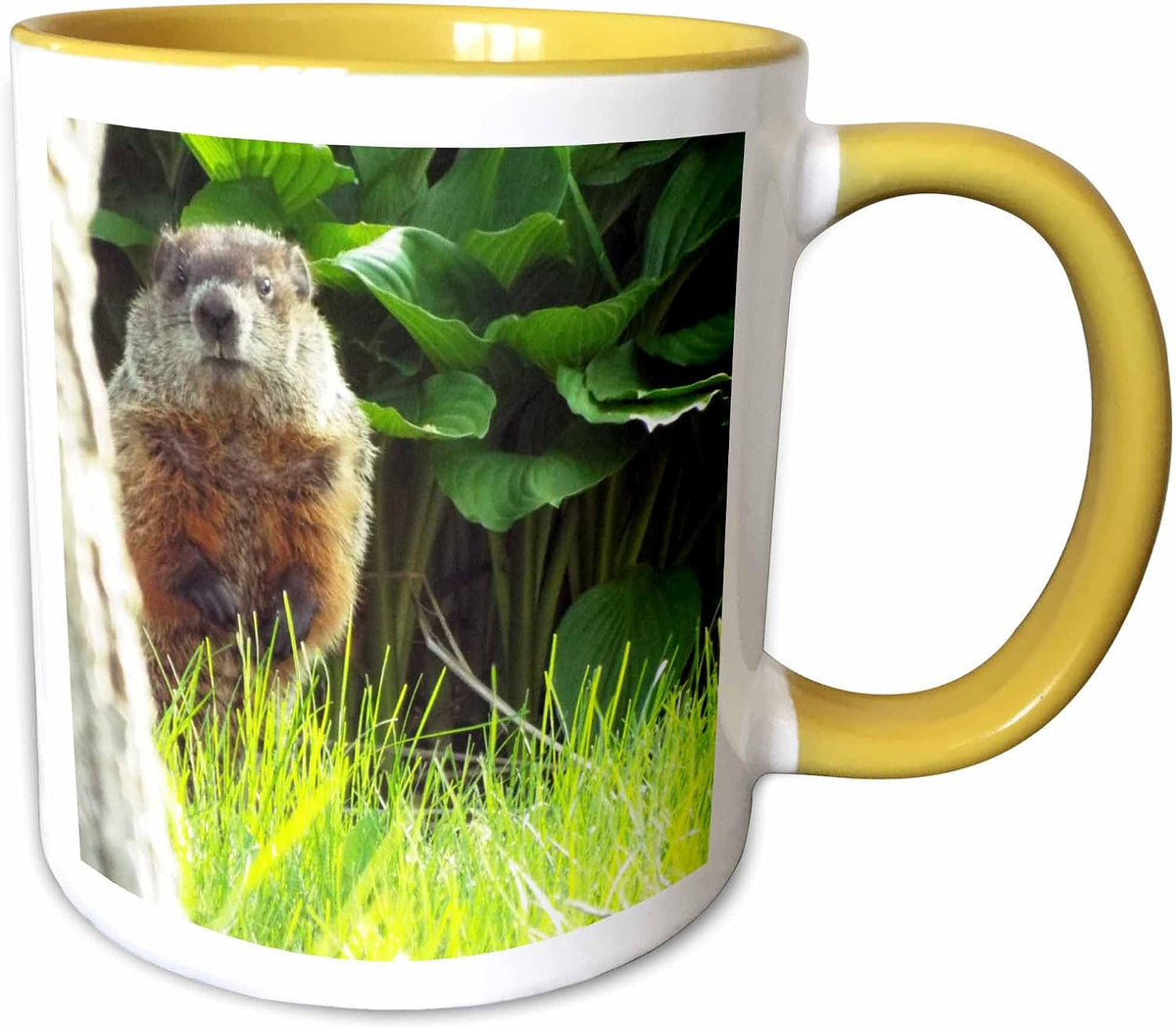 Groundhog Peek Ceramic Mug