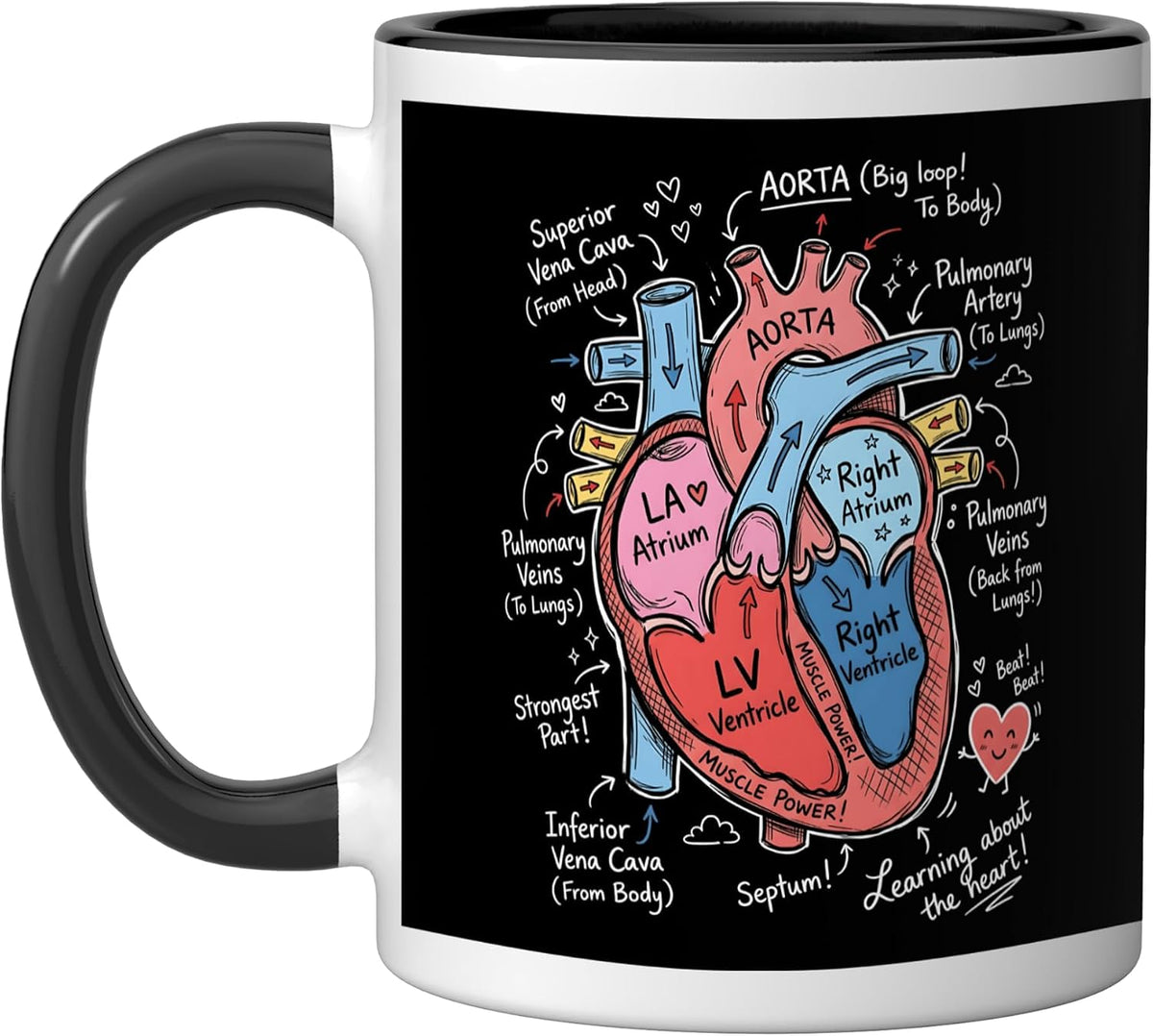 Learning About The Heart Anatomy Biology Science Ceramic Mug