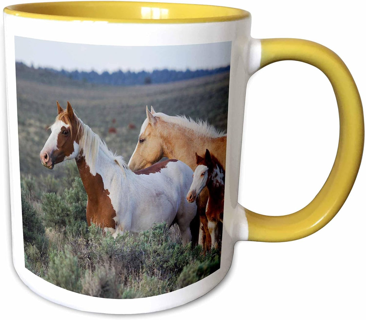 Wild Horses, Mustangs Ceramic Mug