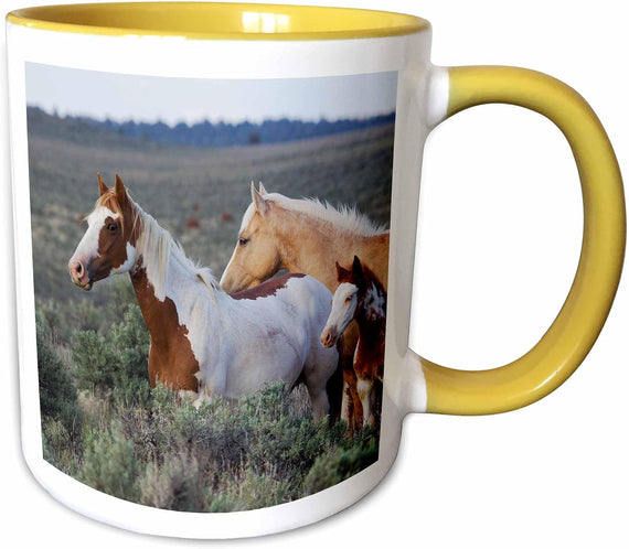 Wild Horses, Mustangs Ceramic Mug