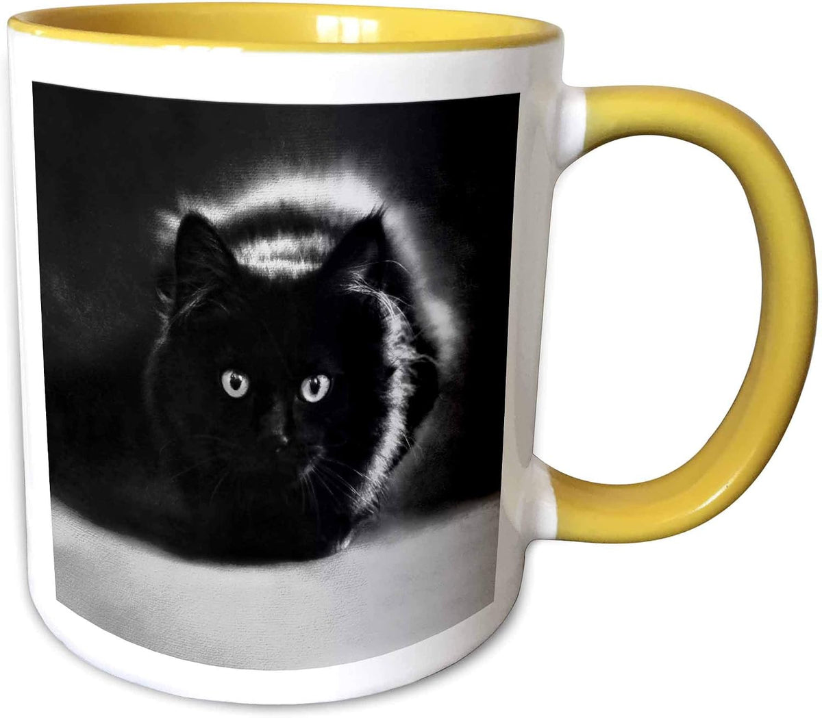 Black Cat Ceramic Mug