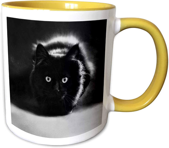Black Cat Ceramic Mug