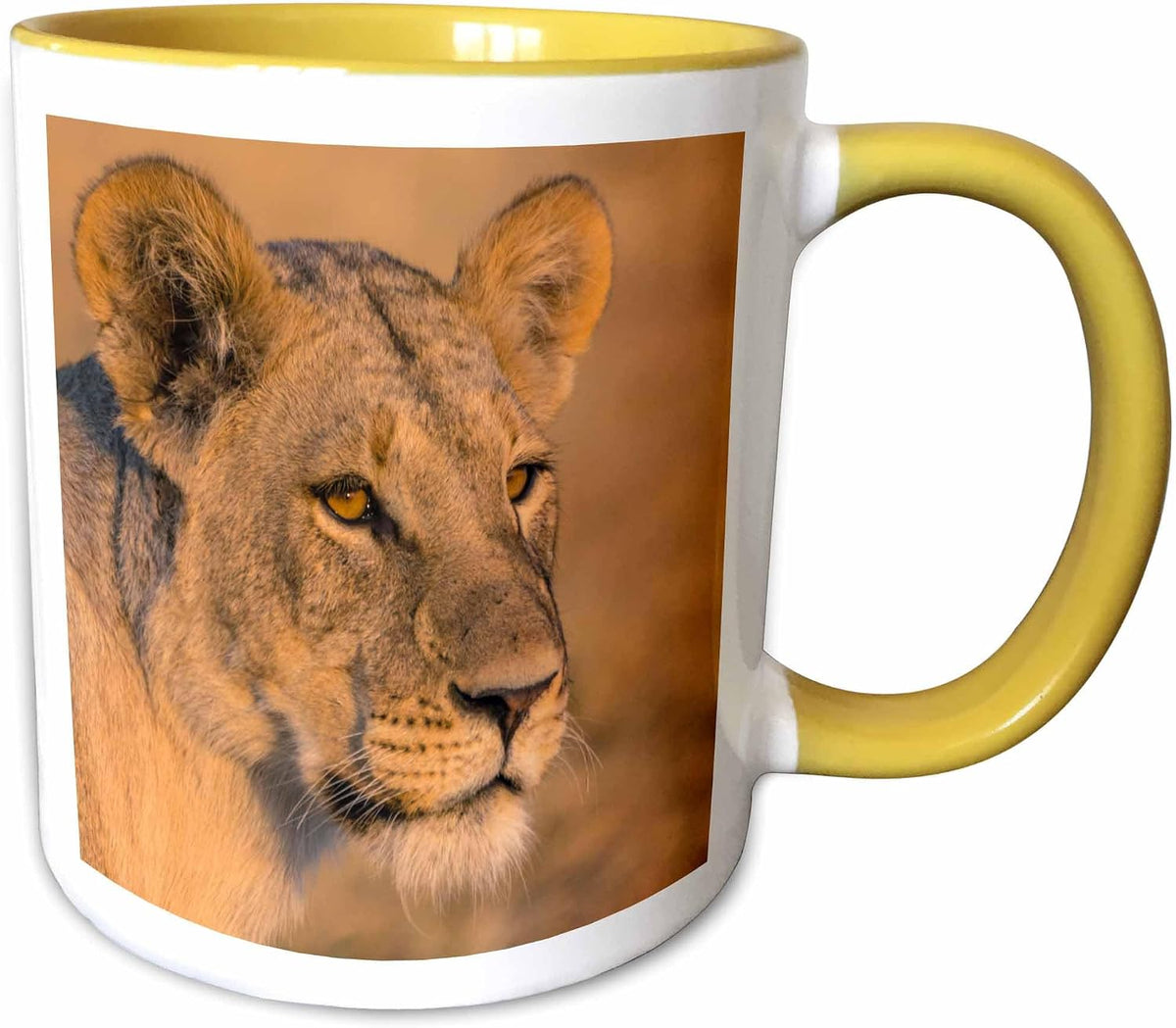 Botswana. Savuti. Female Lion Portrait Ceramic Mug