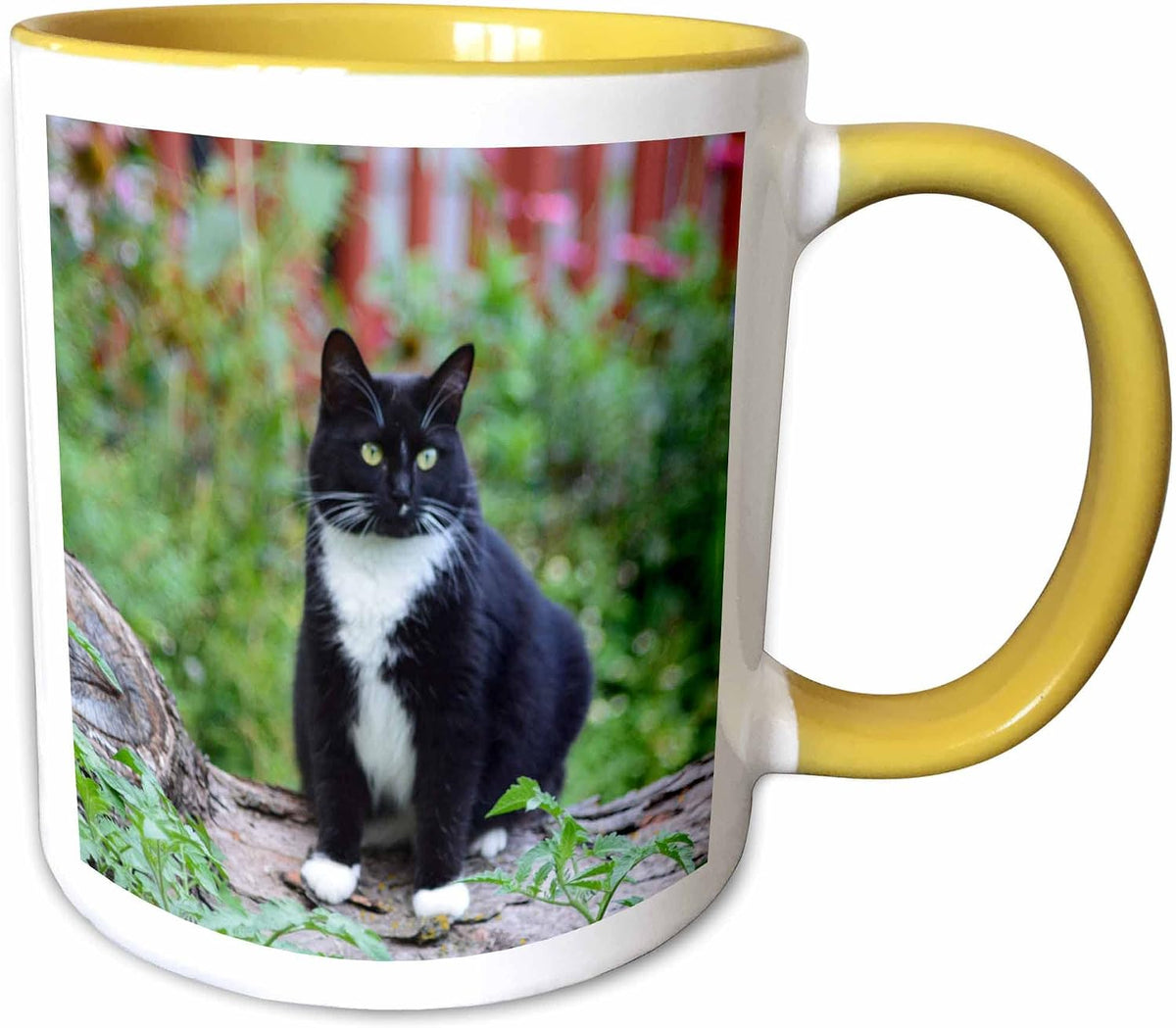 Pretty Female B&W Tuxedo Cat On A Log Ceramic Mug