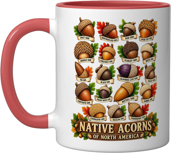 Native Acorns North America Oak Tree Botanical Guide Ceramic Mug