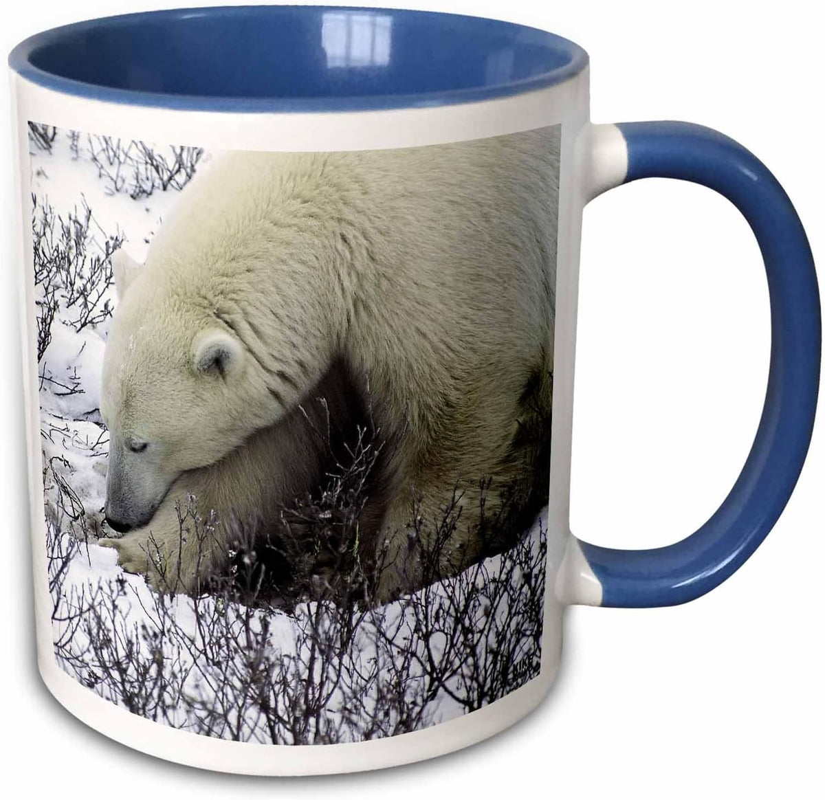 Polar Bears Ceramic Mug