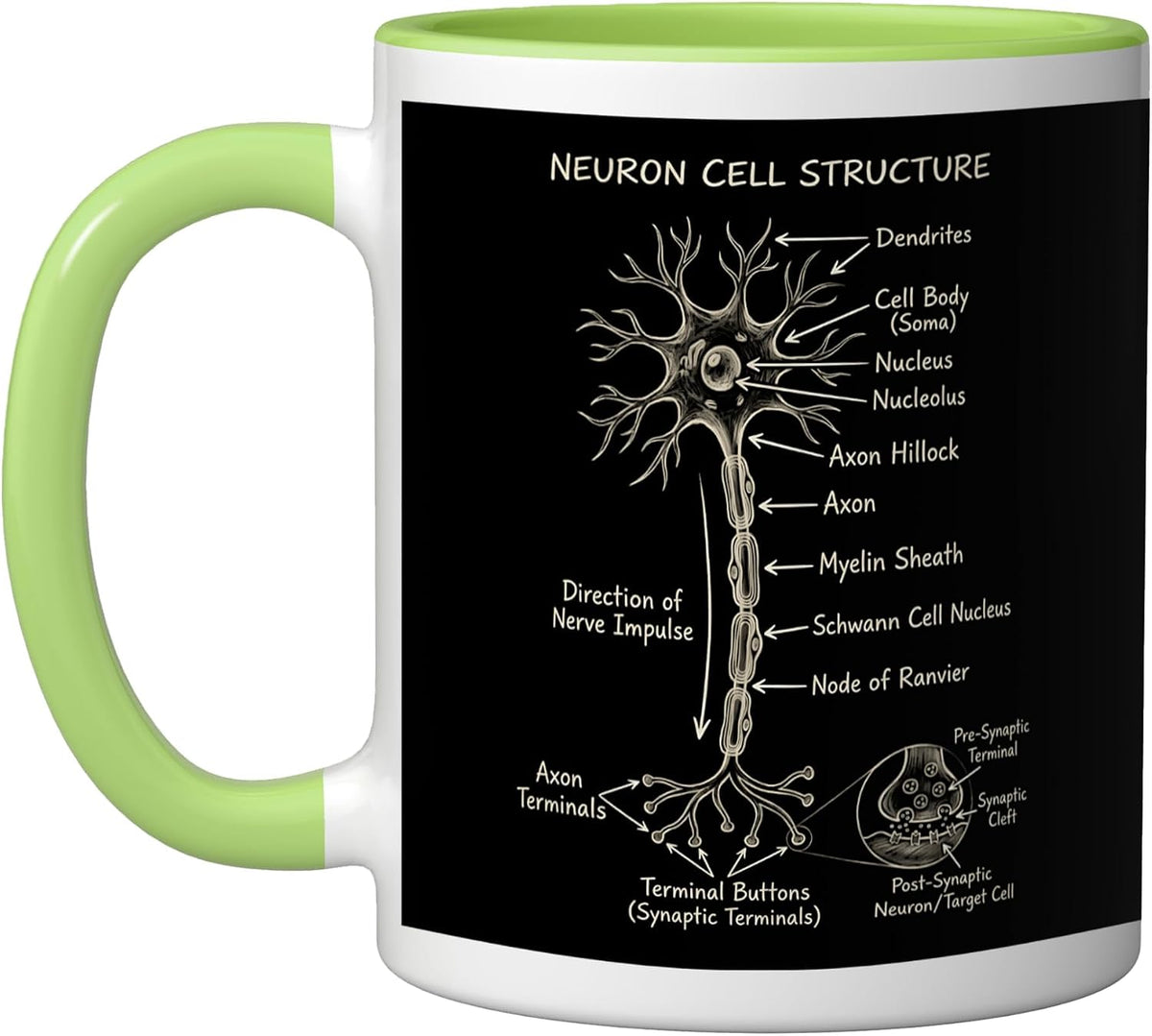 Neuron Cell Structure Biology Anatomy Science Ceramic Mug