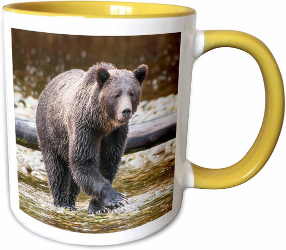 Grizzly Bear Fishing For Salmon Ceramic Mug