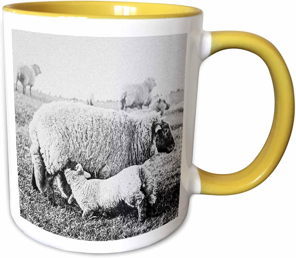 Victorian View Of Shropshire Sheep Ewes And Lambs 1890 Ceramic Mug