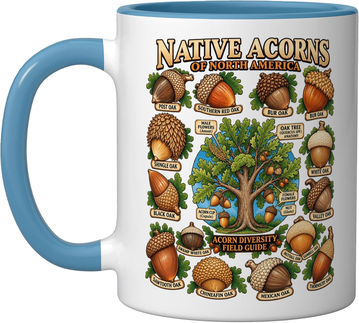 Native Acorns North America Oak Tree Botanical Guide Ceramic Mug